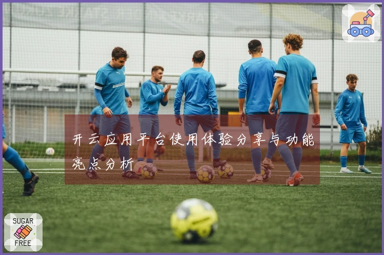 开云应用平台使用体验分享与功能亮点分析