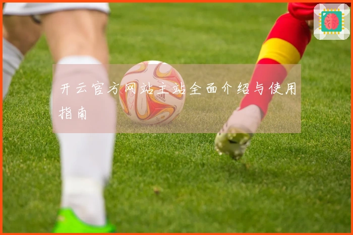 开云官方网站主站全面介绍与使用指南